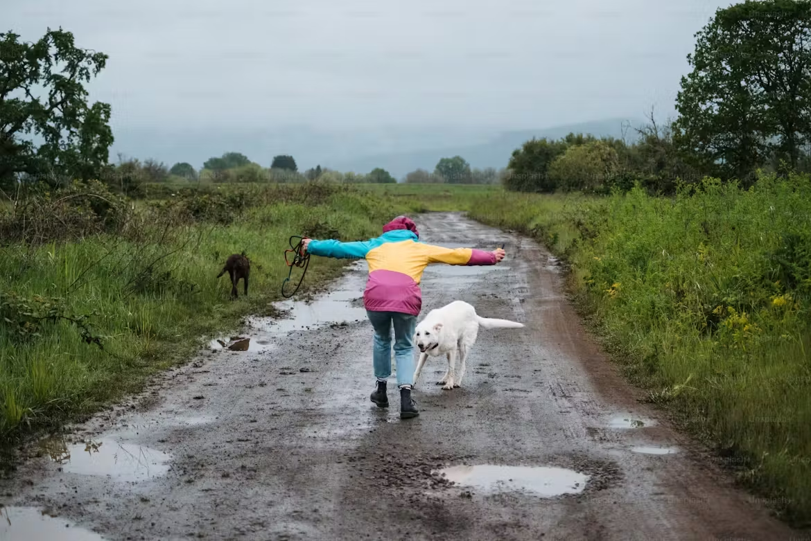 A child walking with two dogs on a muddy path in the countryside.